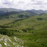 Don't Let a Mountain in Montenegro Be Lost to a War in Ukraine